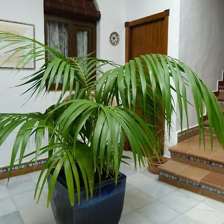 بيت ضيافة Santa Catalina *